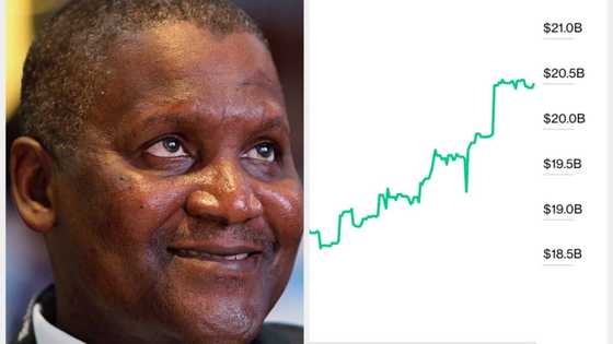 Dangote's wealth rises by over N18bn in 24 hours as he's now richer than 419 billionaires in the world
