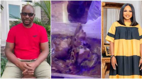 "I offered him fresh fish pepper soup": Iyabo Ojo claps back at ex-governor Fayose's brother, he apologises