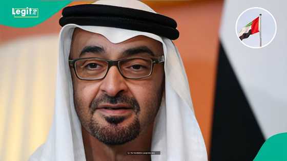 UAE sets minimum salary skilled professionals must earn to qualify for Abu Dhabi golden visa
