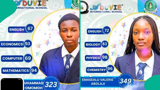 UTME 2026: Over 10 students of same school score more than 300 in JAMB, photos go viral
