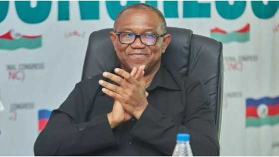 2023 Presidency: After Collapsing Party Structure for Tinubu, LP Leaders Predict Zone Peter Obi Will Lose