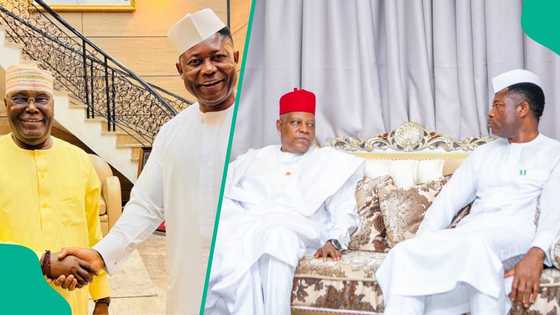 Shettima, Atiku, Kwankwaso others visit to Jack-Rich as reason emerges