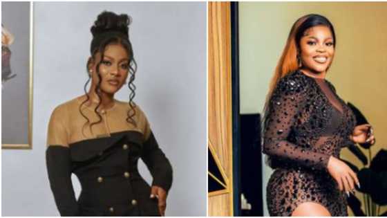 "Fine girls benefit": Video shows moment anonymous fan gifted Phyna and Chichi N500K each in club