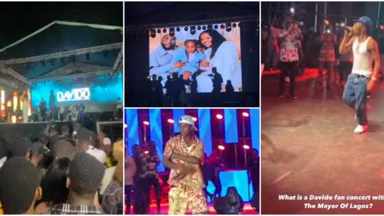 Davido fan concert: Zlatan Ibile, Mayorkun, Bella Shmurda, others storm event, pay touching tribute to Ifeanyi