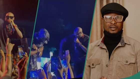 2Baba, MI, Duncan Mighty, Ruggedman, others perform at Faze’s concert in Lagos, videos trend