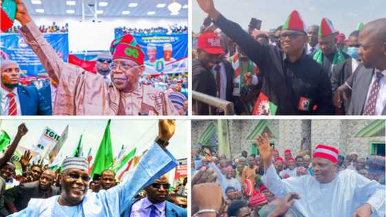 List of 7 Businesses Making Money During Elections in Nigeria