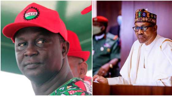 ASUU strike: NLC rejects Buhari's plea, insists on nationwide protest