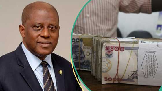 “Sell everything and buy Nigeria”: Experts speaks on Nigeria’s naira assets