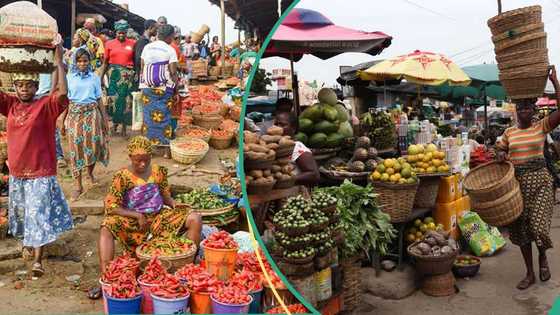 Prices of rice, tomatoes, other food items soars as retailers struggle with unpredictable costs