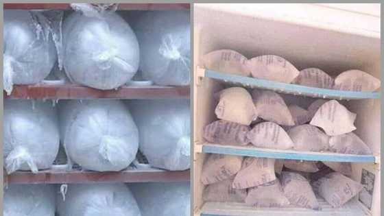 Ramadana: Yadda kankara ta zama kamar nama a Kano saboda tsananin zafi