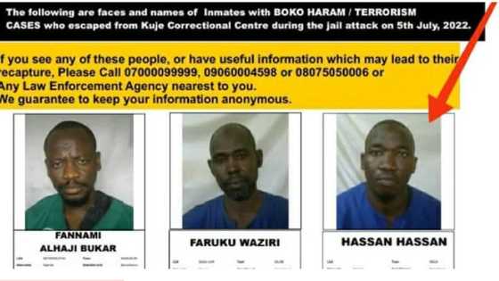 Yanzu-Yanzu: Yan Sanda Sunyi Nasarar Cafke Daya Cikin Yan Boko Haram Da Suka Tsere Daga Gidan Yarin Kuje