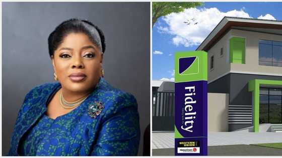Fidelity moves to buy 5 banks across Africa after Union Bank purchase, CEO sets new target