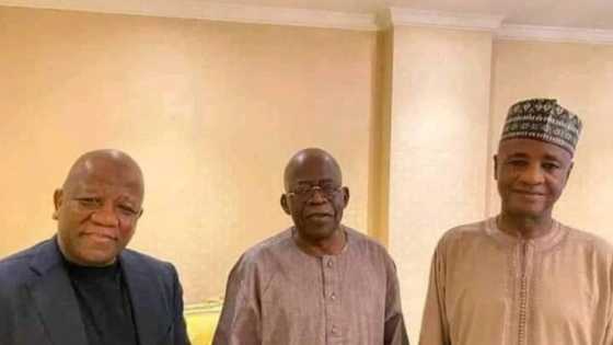 OPINION: How jitters of Yari-Tinubu connections brew lies and mischief by Ibrahim Madugu