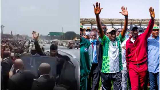 Osinbajo vs Tinubu: Decide who is more popular in trending videos