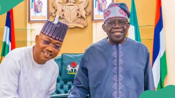 Gwamnan APC ya gana da Tinubu kan muhimmin batu da ya shafi tsaro a jihar Arewa