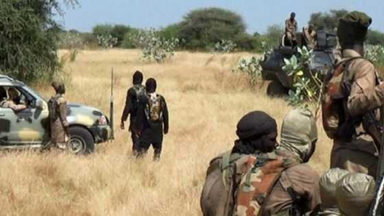'Karin bayani: Yan ta'adda a Kaduna sun datse wa mutane 2 gaɓoɓi, sun sace 22 sun kuma raunata 4