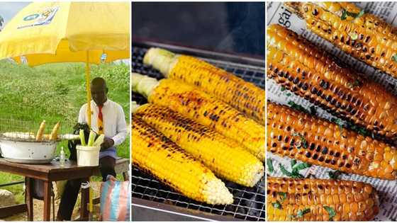 Smart Hustler: Young man dressed in corporate attire seen selling roasted corn by the roadside in viral photo
