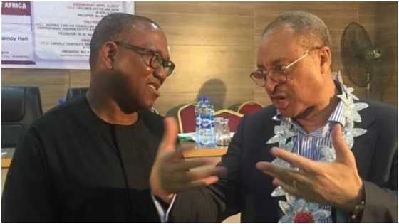 2023: APC, PDP in trouble as influential chieftain makes big moves to defend Obi's vote