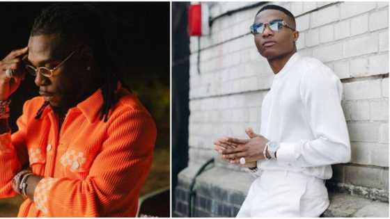 Drama as Burna Boy drags Wizkid FC for disagreeing with him on cause of suffering in Nigeria, they fight back