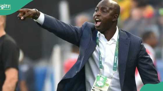 "The right man for the job": Nigerians ask NFF to hire former Ligue 1 star as Finidi's replacement