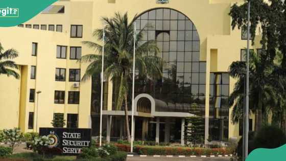 Insecurity: New twist as security agencies place influential northern senator under surveillance