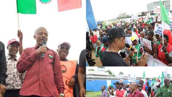 Video Shows Moment NLC Protesters Pulled Down National Assembly Gate, Took Over Premises