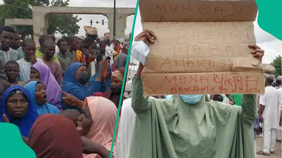 Kano: Mata sun gaji, ɗaruruwa sun fito zanga zanga kan yawaitar faɗan daba