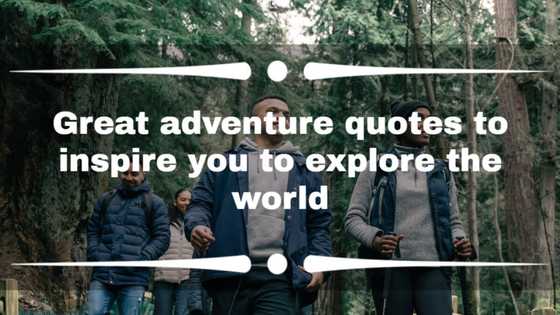 123 great adventure quotes to inspire you to explore the world