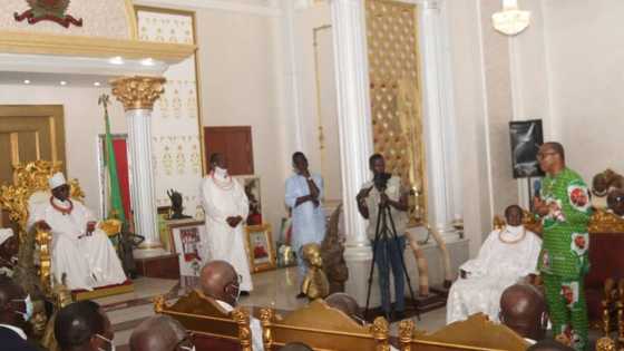 Oba of Benin makes beautiful declaration about Peter Obi