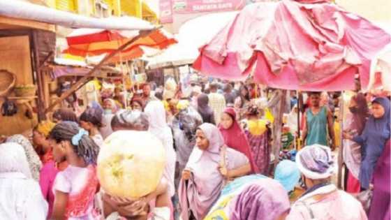Kano: Dandazon jama'a na siyen kayan amfani bayan sassauta doka (Hotuna)