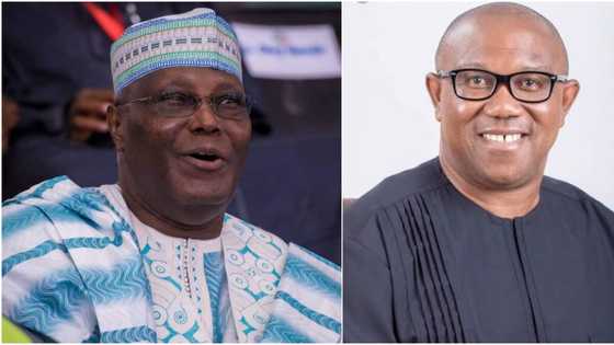 Just in: INEC makes strong move as Peter Obi, Atiku head to court