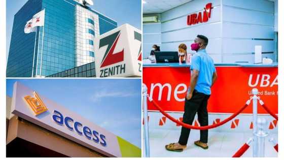 Access, Zenith, other banks move to increase interest on savings as CBN hikes interest rate