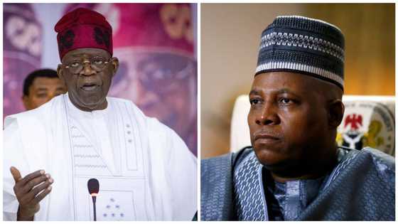 2023: Former Borno Governor leads APC Senators to meet Tinubu, shares crucial details