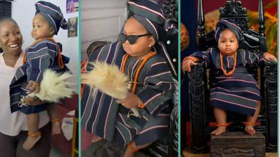 "The baby no stress photographer": Little girl's calm composure during photo shoot impresses viewers