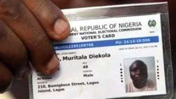 Lagos LG poll: Voters with temporary cards can vote - Electoral commission says