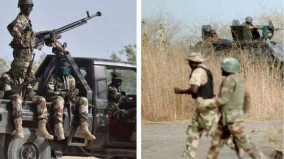 Trouble in Boko Haram camp as ISWAP kills over 200 members, women, children in Borno town