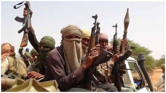 Rudani: 'Yan bindiga sun sako hakimin kauyen Kano, sun rike farfesan da ya kai kudin fansa