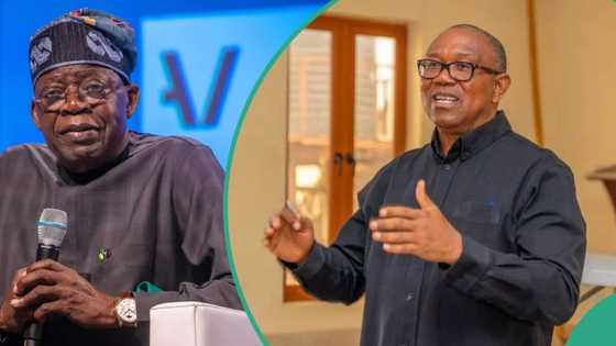 "So kake yi Tinubu ya mutu": Fadar shugaban kasa ta caccaki Peter Obi