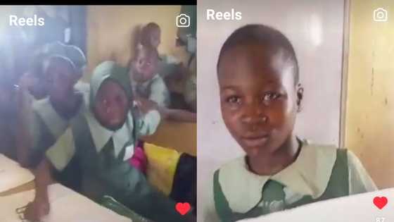 School children buy peter obi's poster for 50 naira, use it to wrap notebooks, video trends on Tiktok