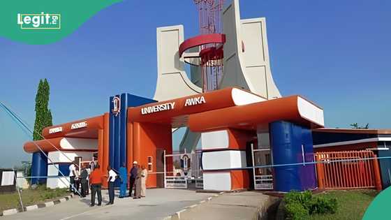 Tragedy as UNIZIK undergraduate falls from three-storey building, dies