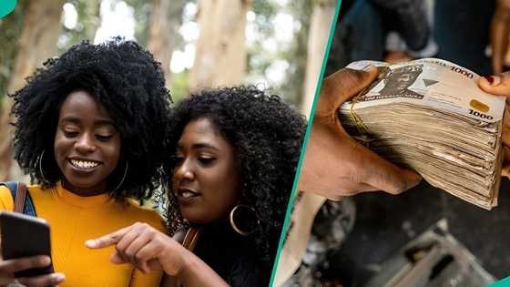 FG reopens YEIDEP portal for youths to apply for business grants up to N500,000