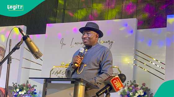 Is Goodluck Jonathan constitutionally eligible to become president again? Senior lawyers speak