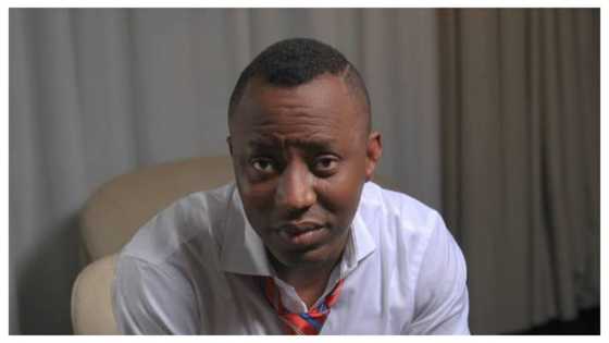 Yadda Isma'ila Funtua da wasu suka so sasanta wa da ni a yayin da nake tsare - Sowore