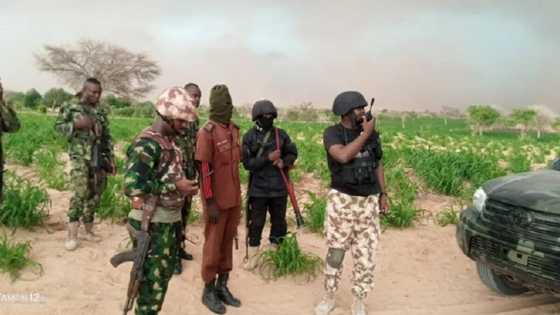 An kashe 'yan kasar Libiya 4 da suka taho Najeriya kawo wa 'yan Boko Haram makamai