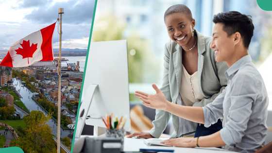 Canada ends policy allowing Nigerians, other visitors to apply for work permits: “It's enough”