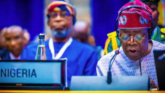 Niger Coup: Mali, Burkina Faso dare Tinubu, ECOWAS over military intervention threat