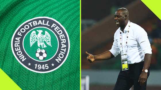 NFF names indigenous coaches, 3 others to assist Augustine Eguavoen for 2025 AFCON qualifiers