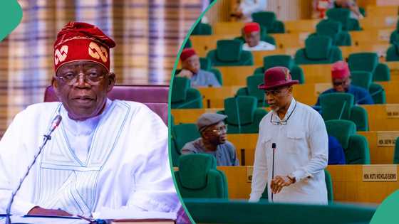 Hardship protest: Reps advise Tinubu on what to do with protesters