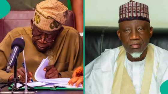 Saudiyya, Amurka da wasu kasashe za su shigo Najeriya, za a dauki matasa aiki