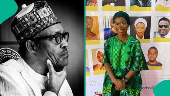 Who will take Buhari's position in the north? Anifowoshe gives response